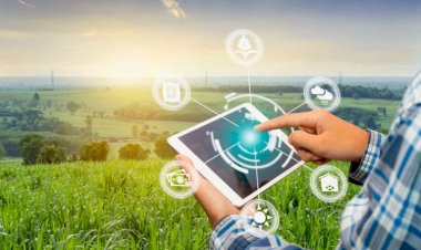 Armadilhas Inteligentes revolucionam o Manejo Integrado de Pragas