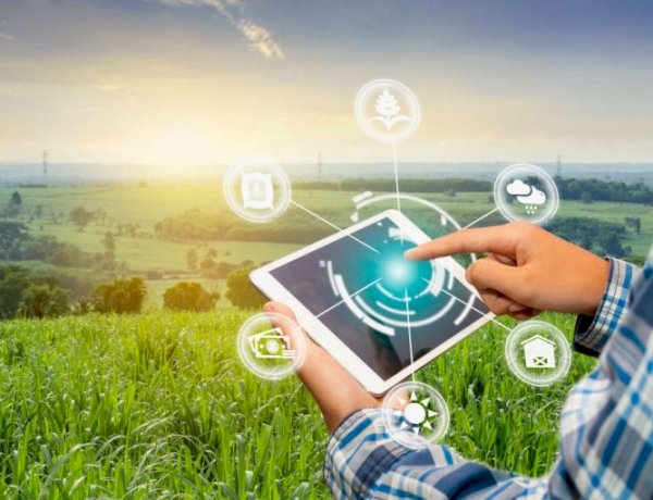 Armadilhas Inteligentes revolucionam o Manejo Integrado de Pragas