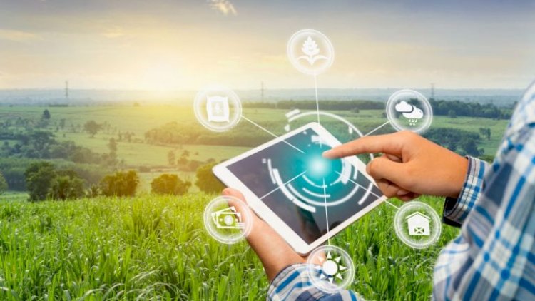 Armadilhas Inteligentes revolucionam o Manejo Integrado de Pragas